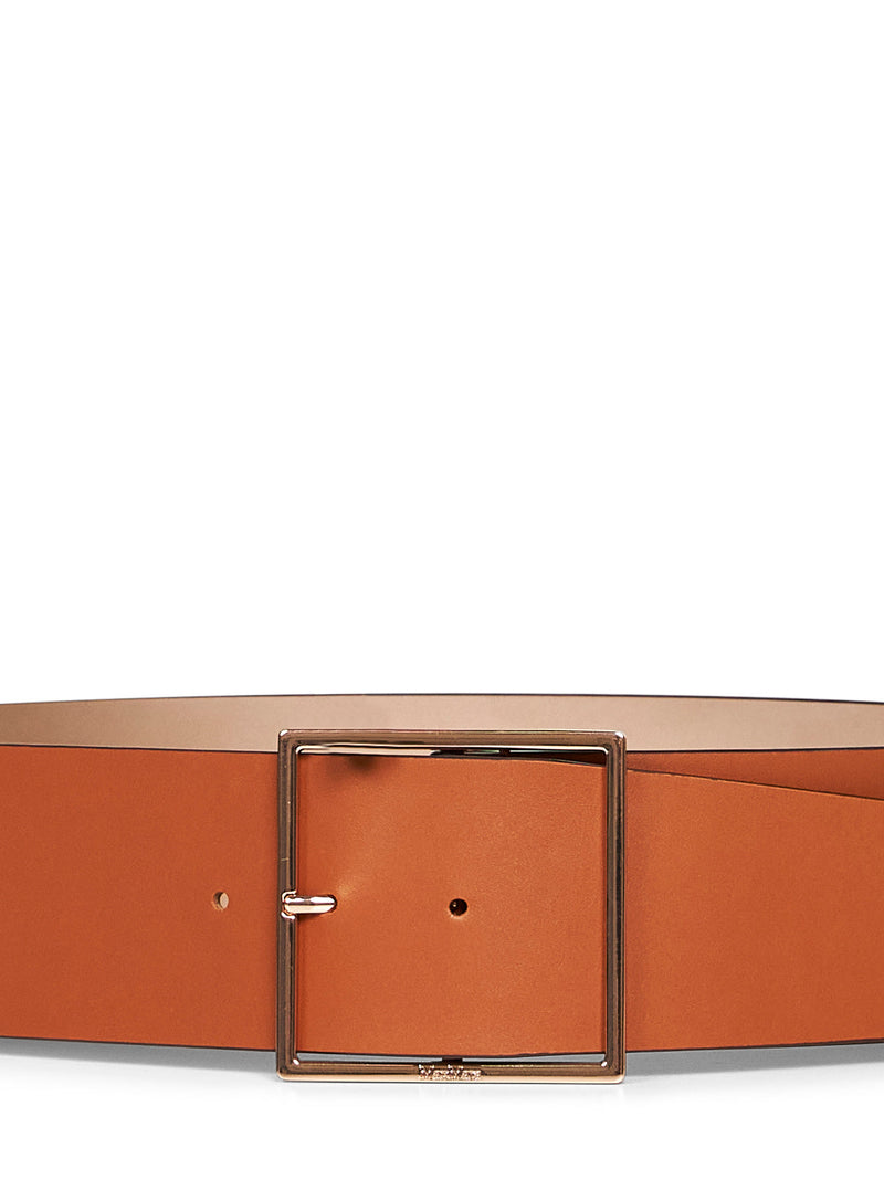 Max Mara Wide Calf Leather Belt — Brown (bos Taurus)