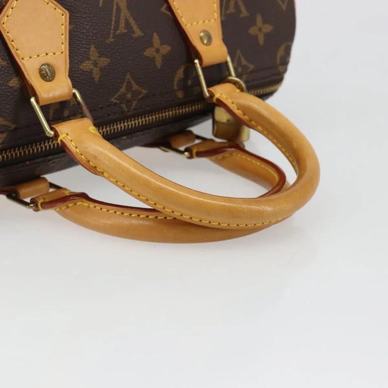 Louis Vuitton Speedy Monogram Canvas Neutral Bag