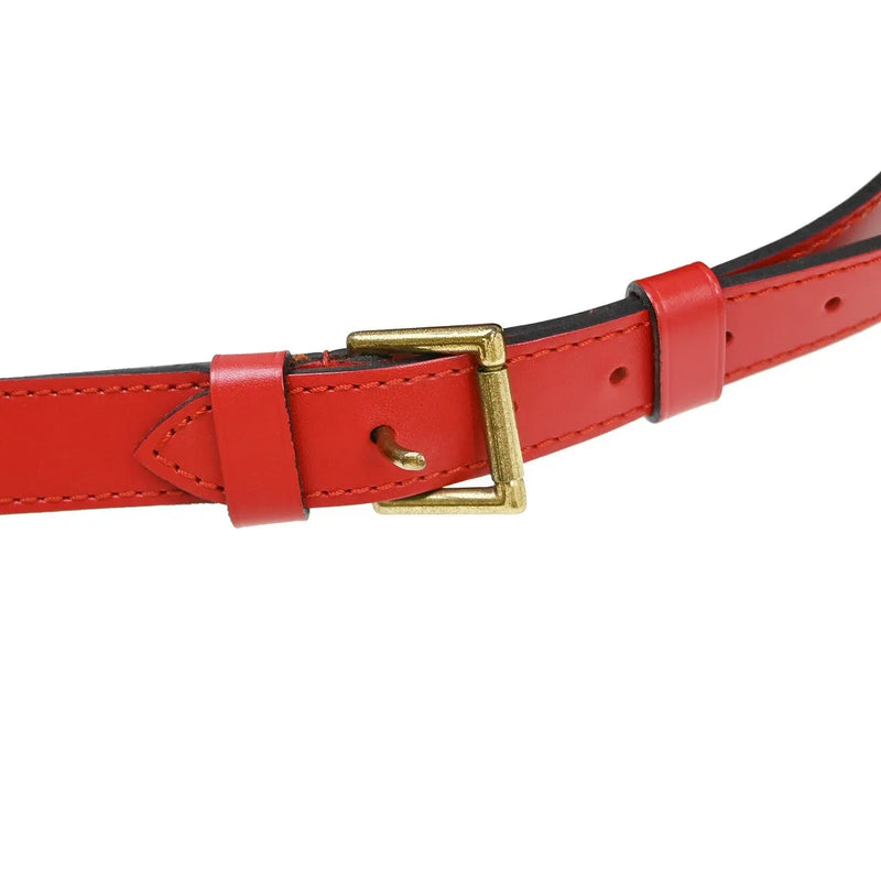 Louis Vuitton Petit Noe Epi Leather Red Bag