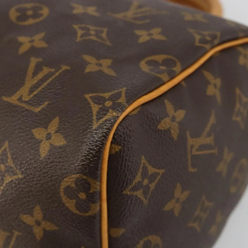 Louis Vuitton Speedy Monogram Canvas Neutral Bag