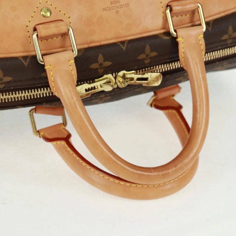 Louis Vuitton Evasion Monogram Canvas Brown Bag